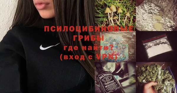 соль курить ск Бородино