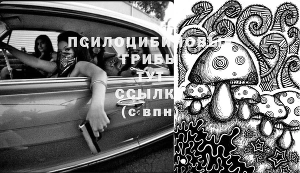 ГАЛЛЮЦИНОГЕННЫЕ ГРИБЫ Бугульма