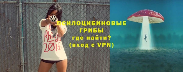 ГАЛЛЮЦИНОГЕННЫЕ ГРИБЫ Бугульма